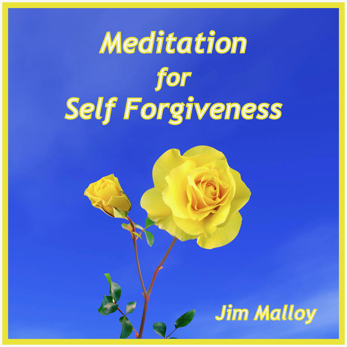 Self Forgiveness cover