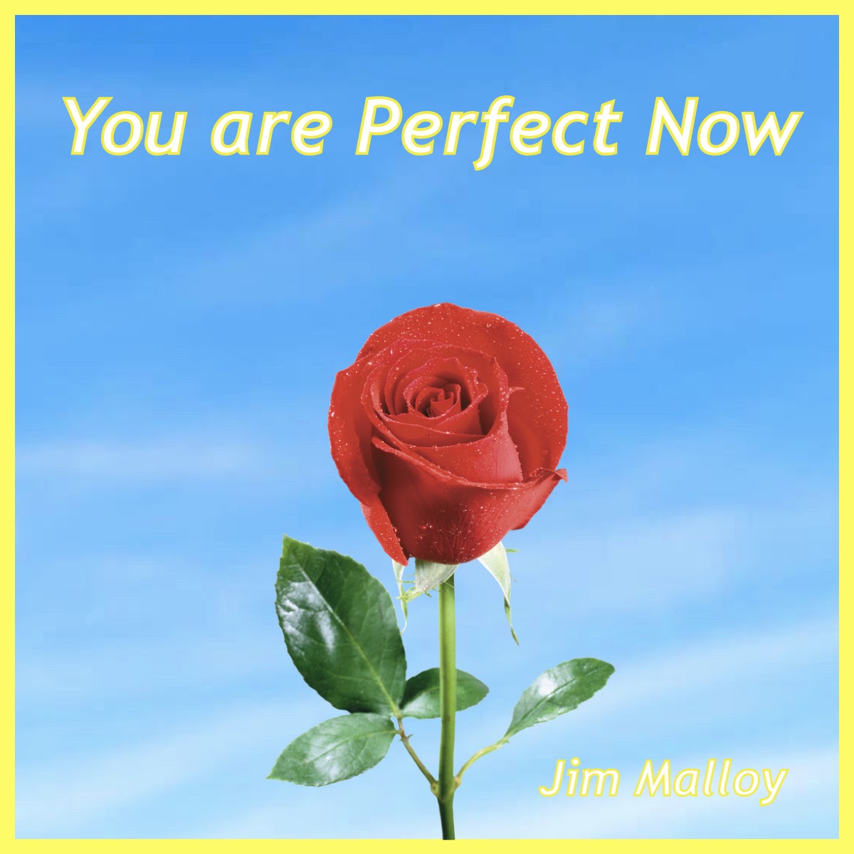 You are Perfect cover